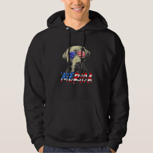 Sudadera 4 De Julio Labrador Recupera La Fla Americana