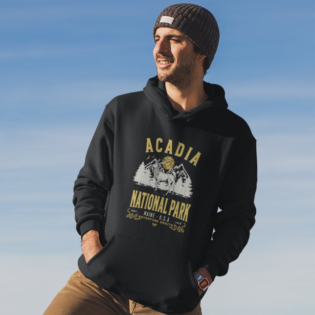 Sudadera Acadia National Park Vintage Landscape (Subido por el creador)