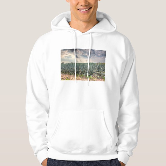 Sudadera Agavo azul (Anverso)