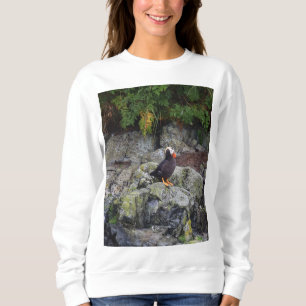 Sudadera Alaska - Aleta en las rocas