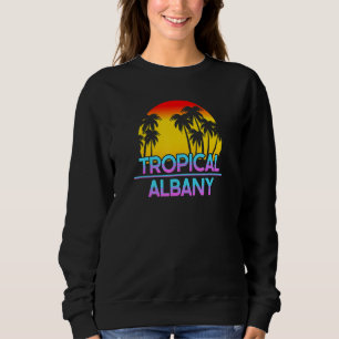 Sudadera Albany Minnesota Funny Irronic Weather