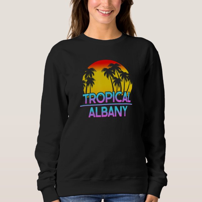 Sudadera Albany Minnesota Funny Irronic Weather (Anverso)