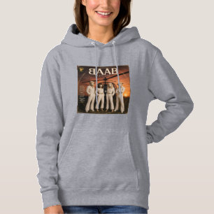 Sudadera Álbum BAAB: una parodia