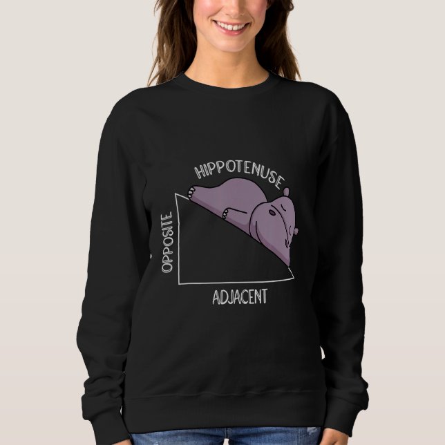 Sudadera algebra math student math teacher hippotenuse (Anverso)