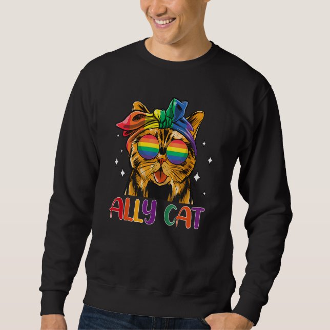 Sudadera Ally Cat LGBT Gay Rainbow Pride Flag Funny Cat Lov (Anverso)
