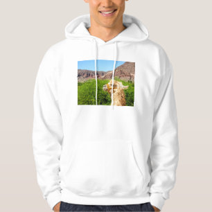 Sudadera Alpaca cerca de Salta, la Argentina