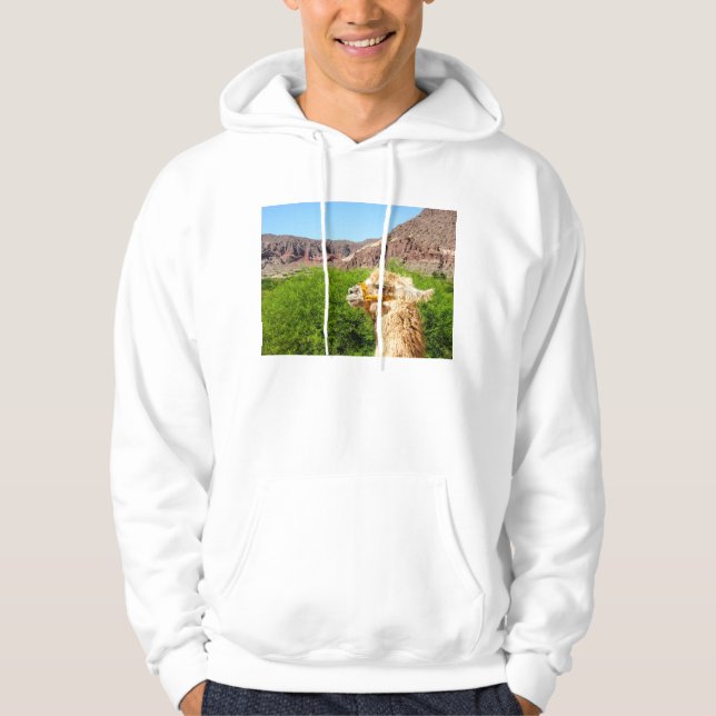 Sudadera Alpaca cerca de Salta, la Argentina (Anverso)