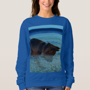 Sudadera Alsacia Viendo Un Cangrejo En El Océano,