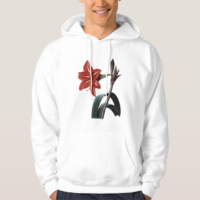 Sudadera Amaryllis rayado (Anverso)