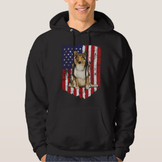 Sudadera American Flag Colley USA