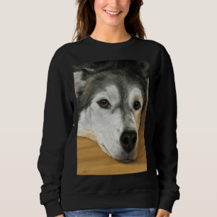 Sudadera Amigo leal Siberian Husky Scoop