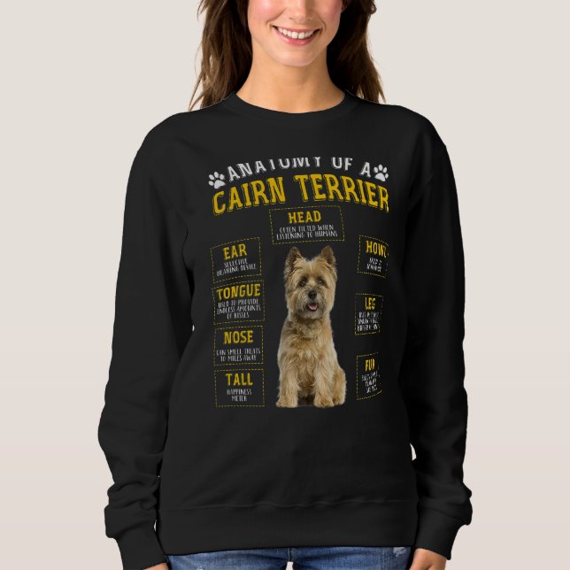Sudadera Anatomía Cairn Terrier Para Hombres (Anverso)