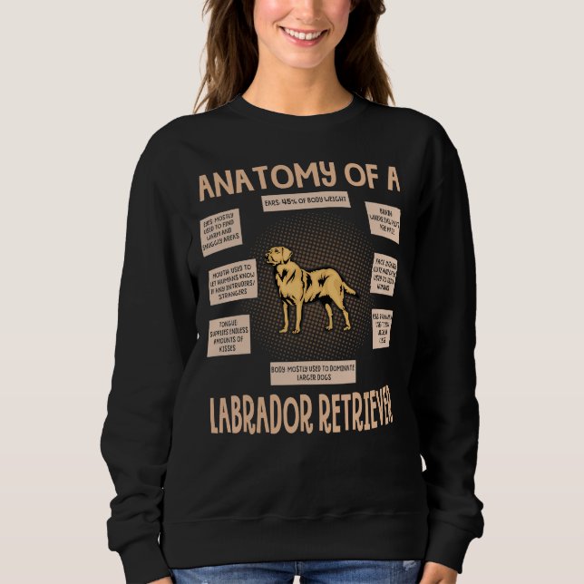 Sudadera Anatomía De Un Cachorro De Labrador (Anverso)