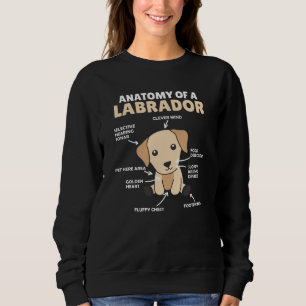 Sudadera Anatomía De Un Labrador Recuperador De Perros Dulc