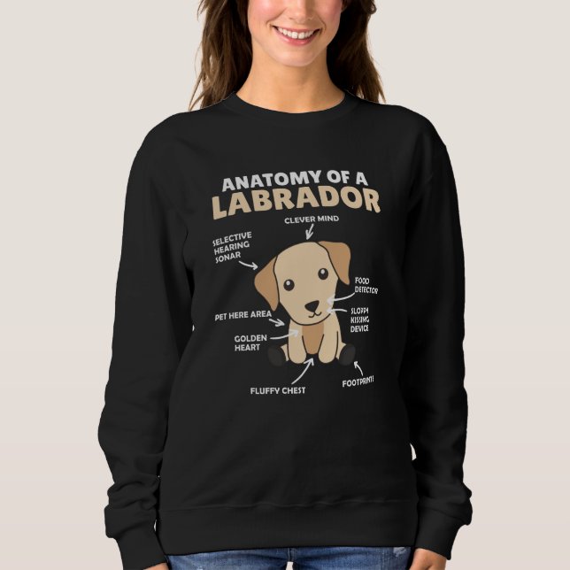 Sudadera Anatomía De Un Labrador Recuperador De Perros Dulc (Anverso)