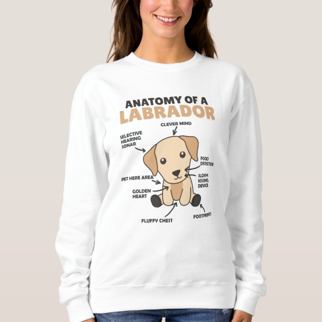 Sudadera Anatomía De Un Labrador Recuperador De Perros Dulc (Anverso)