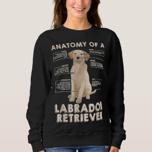 Sudadera Anatomía De Una Idea Recuperadora De Labrador Para