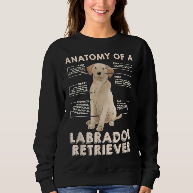 Sudadera Anatomía De Una Idea Recuperadora De Labrador Para (Anverso)