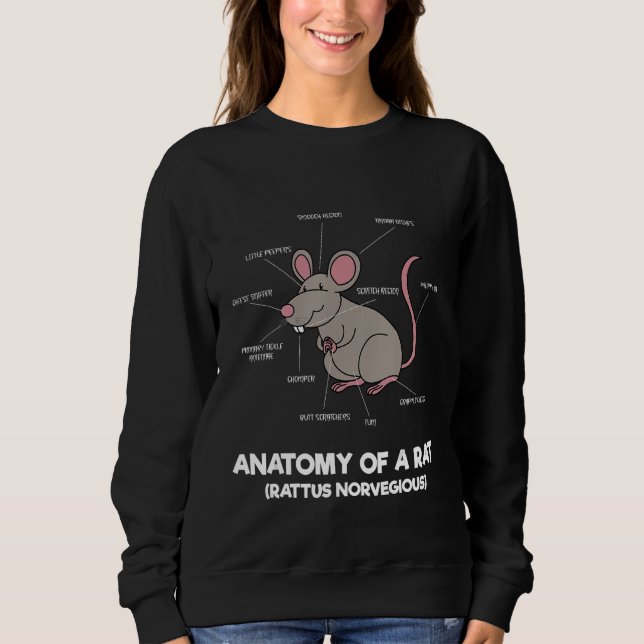 Sudadera Anatomía De Una Rata - Piezas Graciosas Del Cuerpo (Anverso)