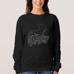 Sudadera Anatomía del páncreas Pancreatitis Endocrino