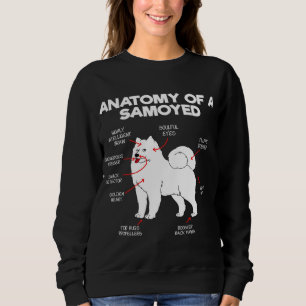 Sudadera Anatomía Perro Samoyed Perro Perro Perro Perro Per