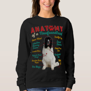 Sudadera Anatomía Vintage De Un Dueño De Perro De Terranova