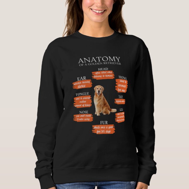 Sudadera Anatomy Of A Golden Retriever Funny Anatomy Retro  (Anverso)