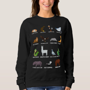 Sudadera Animales Del Mundo Raras Animales Exóticos Me Difu