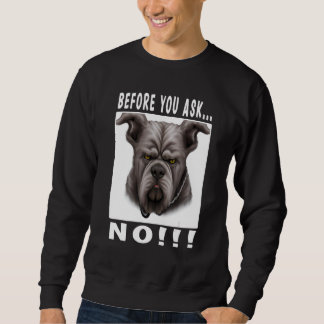 Sudadera Antes de que preguntes no_5