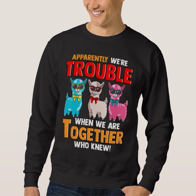 Sudadera Apparently We're Trouble When We Are Together  Lla (Anverso)