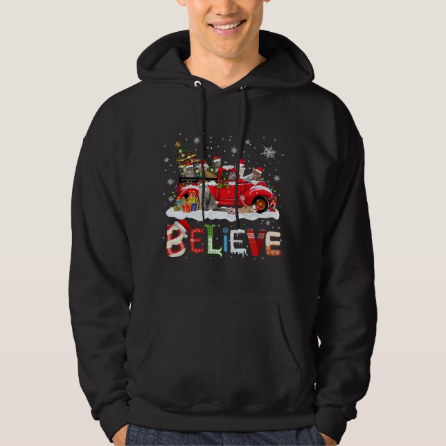 Sudadera Árbol de Navidad de Camión Rojo de Gato cree Santa (Anverso)
