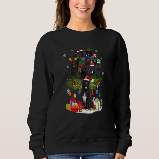 Sudadera Árbol de Navidad de Terranova enciende divertidas