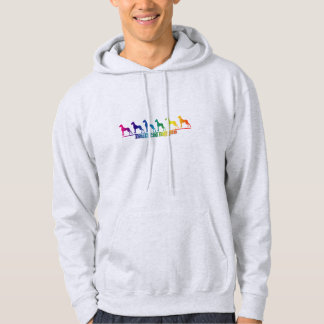Sudadera Arcoíris de Doggen