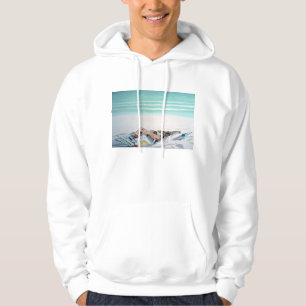Sudadera Arena y dinero III de Sun