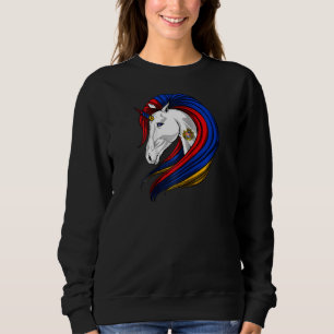 Sudadera Armenia Bandera Raglan Armenia