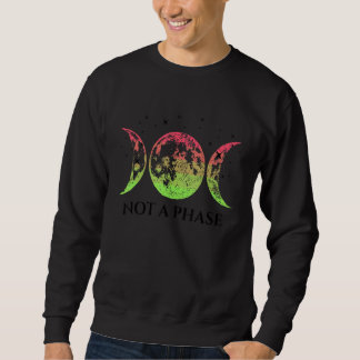 Sudadera Aroflux Pride Flag Not A Phase Aroflux Flag
