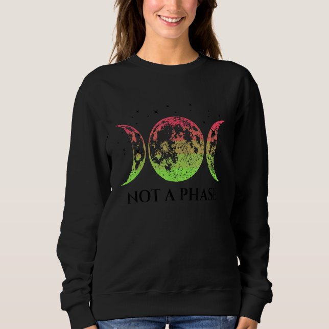 Sudadera Aroflux Pride Flag Not A Phase Aroflux Flag (Anverso)