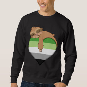 Sudadera Aromántico lema de la bandera del orgullo
