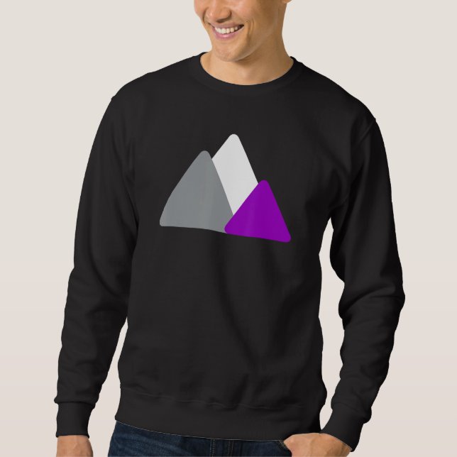Sudadera Asexual Pride Mountain Minimalist Ace LGBTQ Asexua (Anverso)