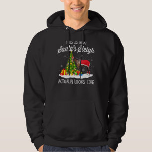 Sudadera Así es como se ve realmente el Sleigh de mi Santa