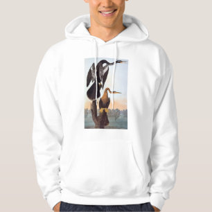 Sudadera Audubon: Anhinga