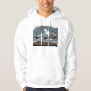 Sudadera Audubon: Gaviota Anillo-Cargada en cuenta