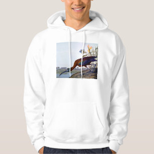 Sudadera Audubon: Ibis brillante