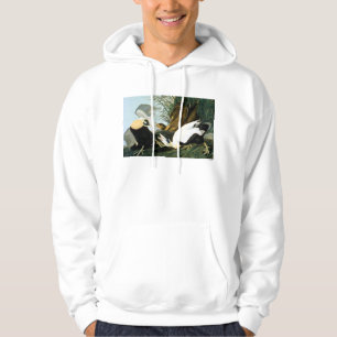Sudadera Audubon: Pato de eíder