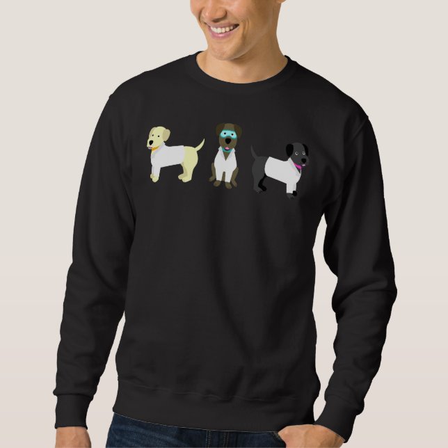 Sudadera Auxiliares de laboratorio (Anverso)