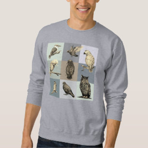 Sudadera AVES, loros, búho, palomas, kookaburra