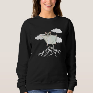 Sudadera Aviación de Entusiasta de Aeronaves de novedad