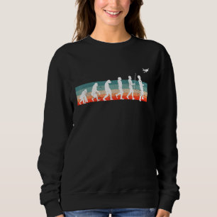 Sudadera Aviador de avión Rc de modelo de evolución