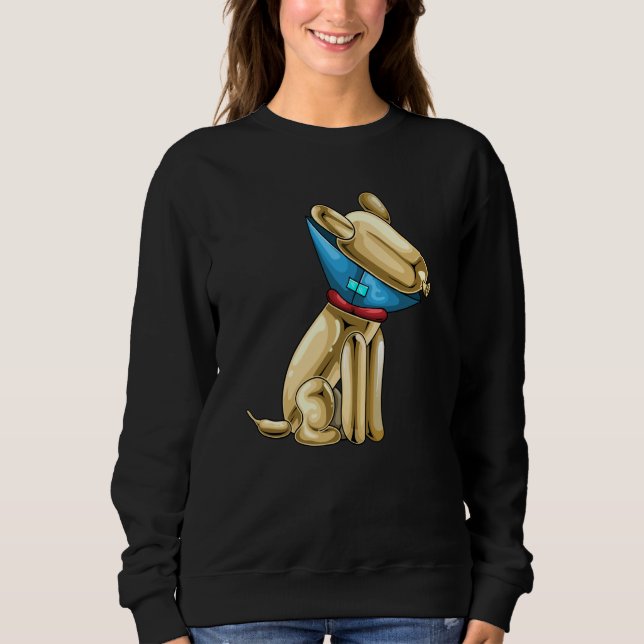 Sudadera Balloon Balloon Animal Dog Cone of Shame (Anverso)