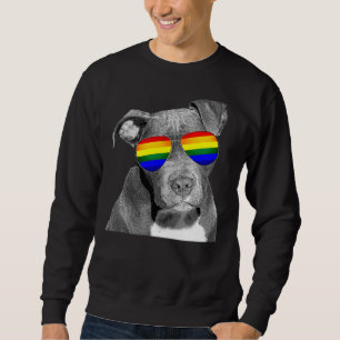 Sudadera Bandera arco iris del Orgullo Gay de Pitbull